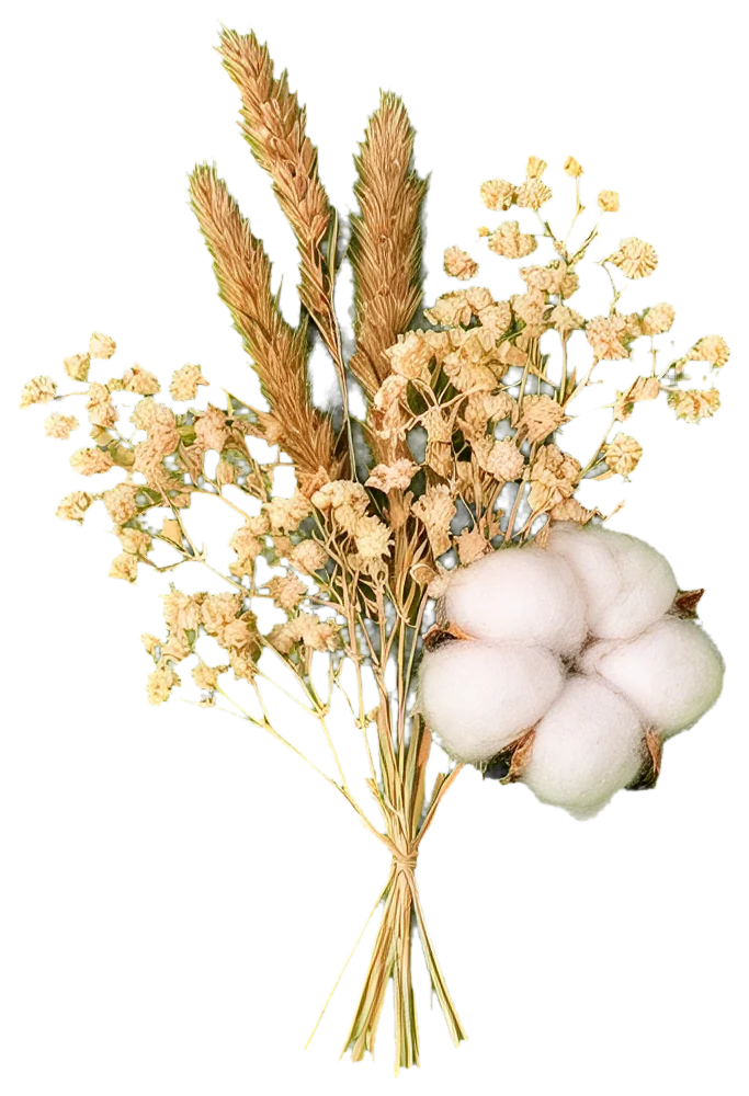 干花贴纸